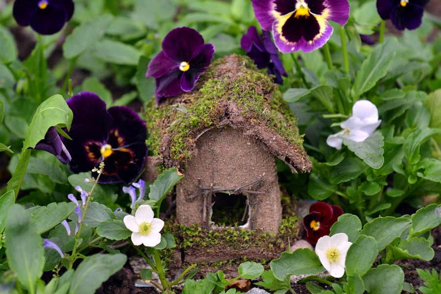a small brown fairy house is nestled in pansies in a wooded area. 
